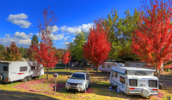 Arderns Caravan Park