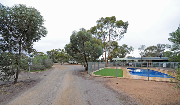 Hawker Caravan Park camping near Hawker